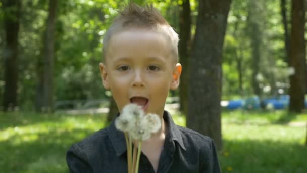 Медленное движение маленького мальчика улыбается и дует одуванчик с красивыми зелеными деревьями и солнечный фон — стоковое видео