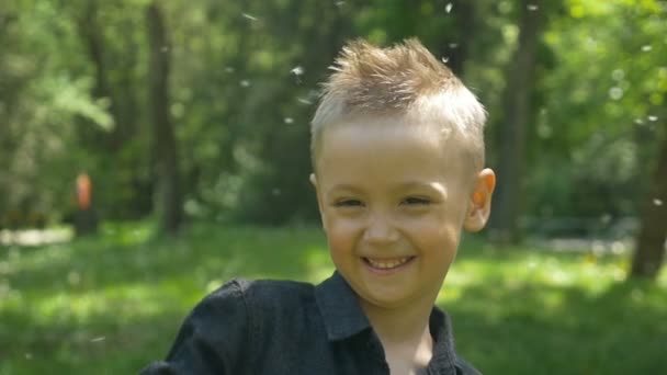 Счастливый ребенок наслаждается полетами одуванчиков с зелеными деревьями и солнечным светом в парке — стоковое видео