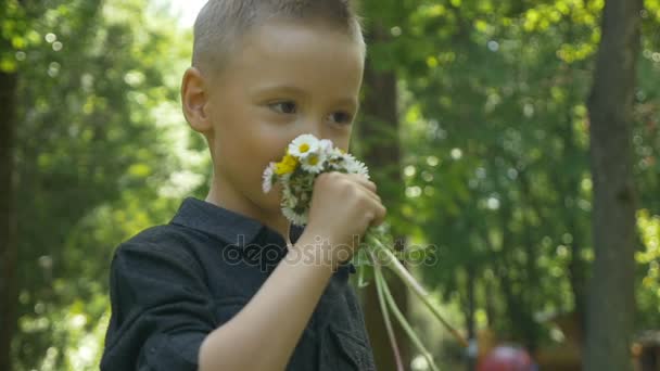 Young child smelling summer flowers and feeling nose tickling in recreational wood area — Stock Video