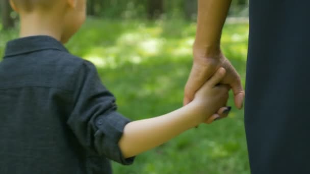 Mamá y el niño caminando juntos tomados de la mano en el parque — Vídeos de Stock