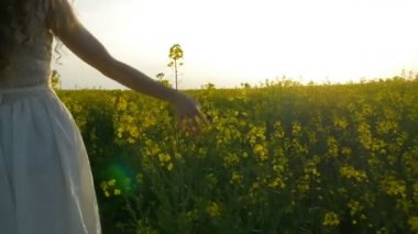 El güzel genç kadının incelikle altın sahada yürüyüş kolza tohumu okşama