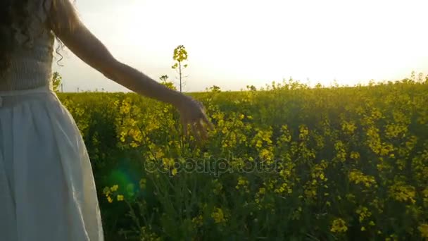 Hand einer schönen jungen Frau, die graziös den Raps streichelt und auf goldenem Feld wandelt — Stockvideo