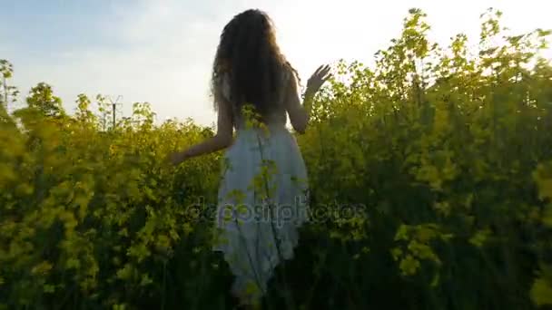 Jovem vestida de branco andando e tocando plantas no campo de canola em um dia quente de verão — Vídeo de Stock