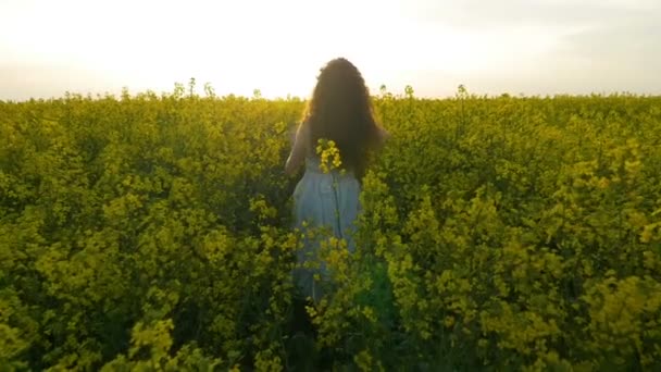Ağır çekim bir yürüyüş ve kolza tohumu alan bitkilerde günbatımında dokunmadan genç kız — Stok video