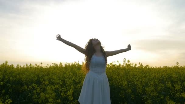 Concepto de libertad con la mujer en la naturaleza cogida de la mano hacia el cielo de verano en el campo de colza — Vídeo de stock