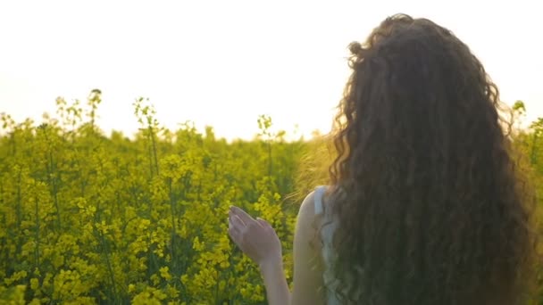 Mulher encaracolada bonita tocando suavemente flor de canola andando em um campo de colza em terras agrícolas — Vídeo de Stock