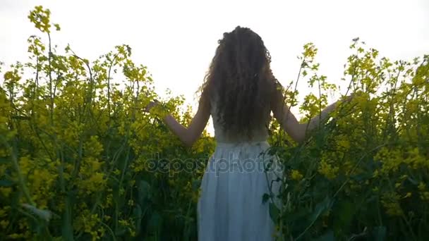 Land meisje met een mooie haren die dwalen door gouden veld met koolzaad bloemen voor zonsondergang op het platteland — Stockvideo