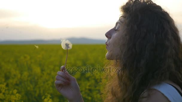 Fechar-se de menina encaracolado soprando flor de dente de leão no pôr do sol campo de verão em câmera lenta — Vídeo de Stock