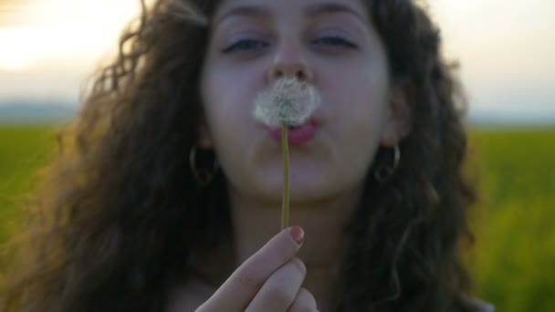 Mooi meisje waait een paardebloem bloem en lachend met groene veld op achtergrond in slow motion — Stockvideo