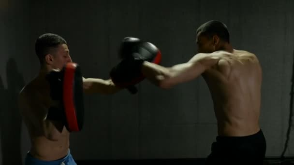 Movimento lento de dois lutadores do sexo masculino treinando em estúdio de ginástica com luvas de boxe e almofadas tailandesas — Vídeo de Stock
