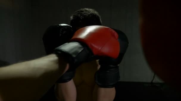 Punktu widzenia bokser wykrawania partnera w treningu w siłowni studio przygotowuje się do mistrzostw — Wideo stockowe