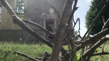 Siyah elbise ve Gotik korse dışında yürüyüş korkunç cadı korkutucu çığlık bina harap