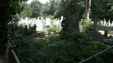 Melek heykeli mezarlığı tam ağaçlar ve bitki örtüsü duruşunda ağlıyor eğilerek Gotik depresif kız