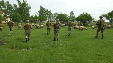 Silahlı askerler devriye koyun sürüsü aracılığıyla bir köyde oluyor askeri giyim kamuflaj takım