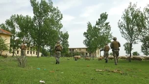 Grupo de soldados del ejército patrullando en el área de viviendas abandonadas protegiendo y sirviendo — Vídeos de Stock