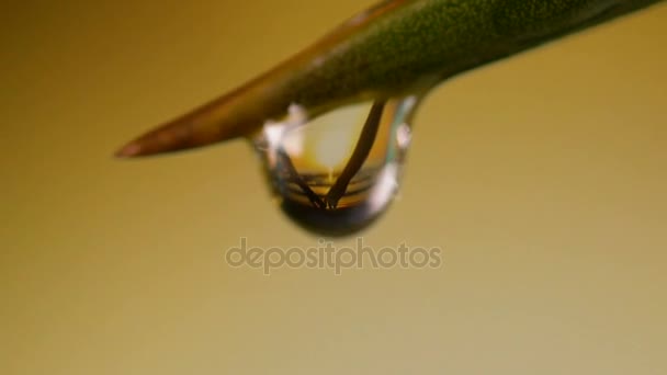 Reflexión en una gota de agua caída de pareja romántica tomando y tomándose de la mano contra una puesta de sol de verano en el mar — Vídeos de Stock