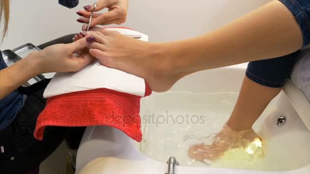 Woman at beauty parlor getting her pedicure done — Stock Video