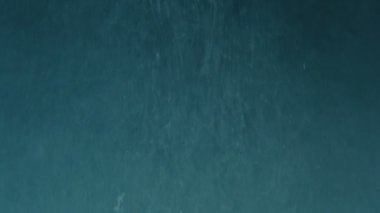 Buğulaması ve Dispergatör belirsiz duman bir yarı saydam soyut okyanus arka plan gibi görünüyor.