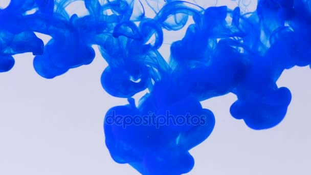 Синяя краска чернила падают на воду, создавая абстрактные формы и завихрения фона — стоковое видео