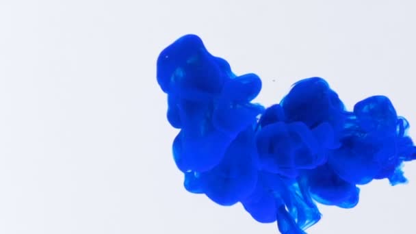 Concepto macro de pintura de color azul fluyendo en agua formando formas abstractas de fondo — Vídeos de Stock