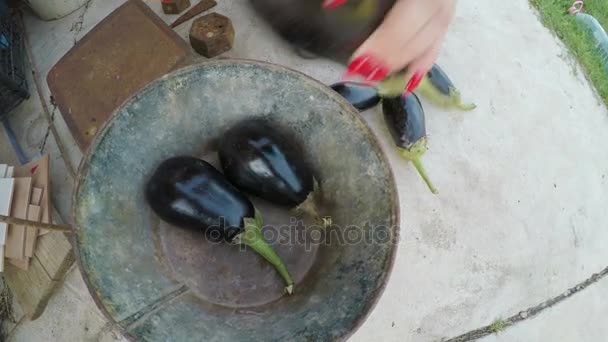 Woman weighs eggplants on an old fashioned scale — Stock Video