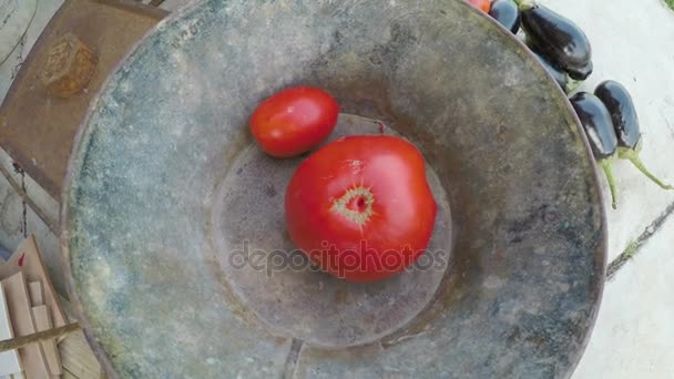 Женщина-фермер взвешивает помидоры в рудиментарном старом масштабе в сельской местности — стоковое видео