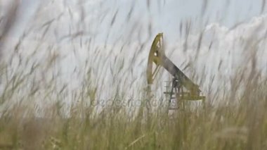 Buğday alan petrol arka planda açılan petrol sanayi pompa birimiyle closeup
