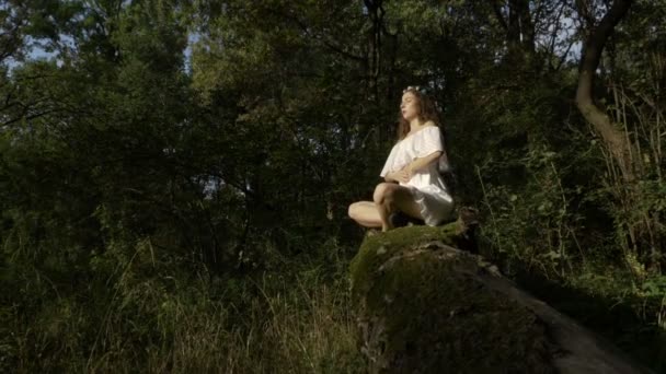 Practicante de yoga haciendo ejercicio respiratorio en el bosque naturaleza — Vídeo de stock