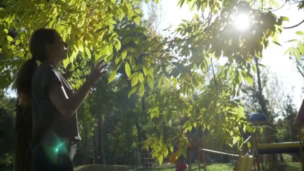健身美女模特欣赏树叶, 在公园里享受秋天阳光明媚的灯光慢动作 — 图库视频影像