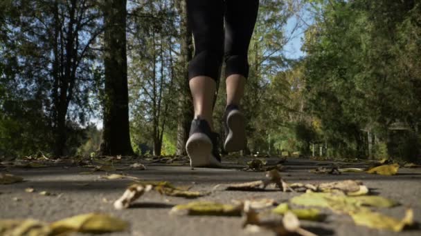 Actieve tiener runner meisje dragen sport kleding joggen en ontspannen na school in het park op een herfstdag in slow motion — Stockvideo