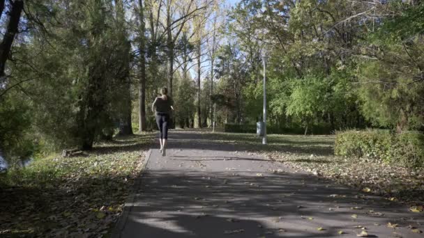 魅力的なモデルの女の子が公園で早朝マラソンのためにトレーニング — ストック動画