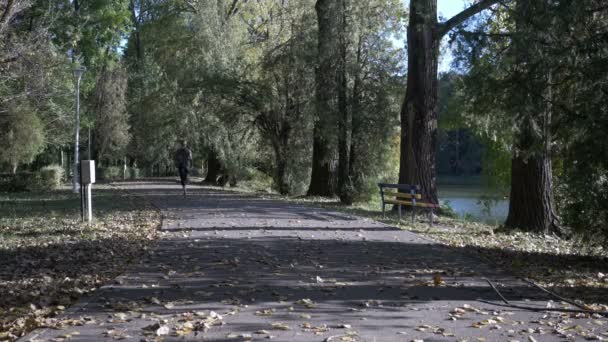 Competitive beautiful runner girl training for marathon in park with lake on an autumn day — Stock Video