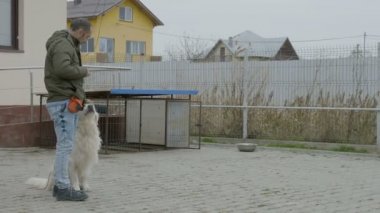 Doğada bir özel eğitim okulunda beyaz bir köpek yürüyen genç profesyonel antrenman ör