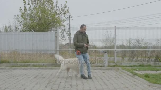 Treinador profissional exercitando comando sentado com um cão golden retriever no quintal do centro de treinamento — Vídeo de Stock