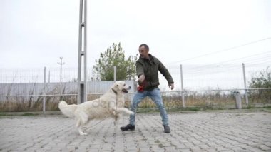 Genç ve profesyonel eğitmen atlama egzersiz ve bulutlu bir günde yavaş hareket doğada bir köpekle ısırma nesne