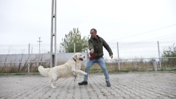 Молодой и профессиональный тренер, занимающийся прыжками и кусанием с собакой на природе в облачный день в замедленной съемке — стоковое видео