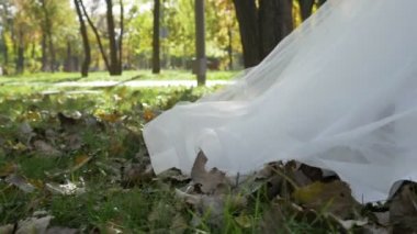 Ağır çekimde güneşli bir sonbahar yaprakları Park üzerinden geçen beyaz gelinliğin tren