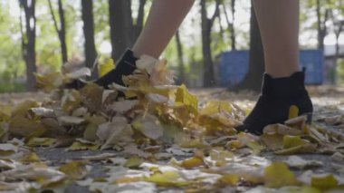 Ağır çekimde güneşli bir sonbahar yaprakları Park üzerinde adım topuklu siyah ayakkabı giyen genç kadın