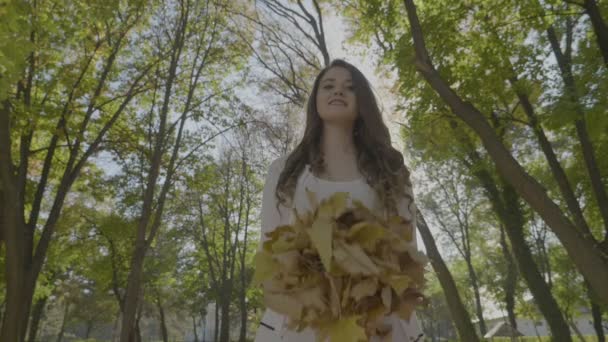 Όμορφη νεαρή κοπέλα που ρίχνουν το φθινόπωρο τα φύλλα στον αέρα και γυρίζοντας σε αργή κίνηση σε ένα πάρκο — Αρχείο Βίντεο