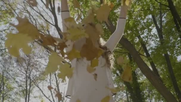 Vrijheid tiener meisje in witte jurk bladeren gooien en spinnen met handen in de lucht in slow motion — Stockvideo