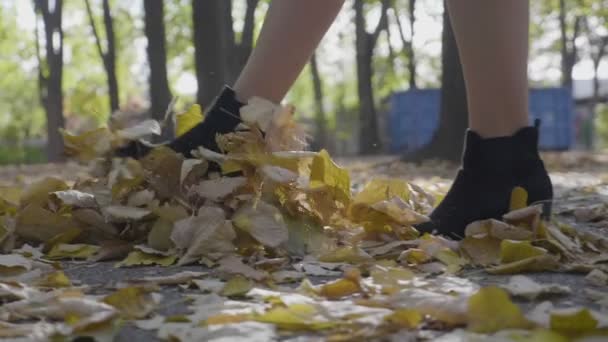 Jovem mulher usando sapatos pretos com saltos pisando nas folhas de outono no parque em um dia ensolarado em câmera lenta — Vídeo de Stock