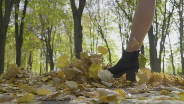 Attractive model woman dressed elegant walking and kicking up yellow autumn leaves in slow motion — Stock Video