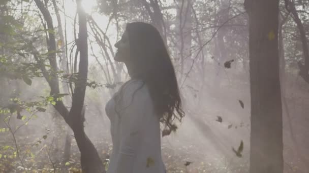 Νεαρό μοντέλο χαρούμενο κορίτσι νηματουργίας και θέτοντας σε ένα λαμπρό φως του ήλιου μέσα στο δάσος ανάμεσα σε πτώση το φθινόπωρο τα φύλλα και του καπνού σε αργή κίνηση — Αρχείο Βίντεο