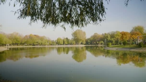 Hermoso sol de la mañana brillando sobre un lago parque urbano en un cálido día de otoño — Vídeos de Stock