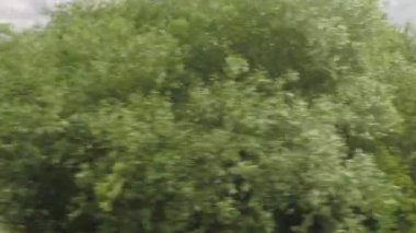 Yeşil alanlar ve ağaçları ile bulutlu kırsal manzara geçen bir tren penceresinden görünümü