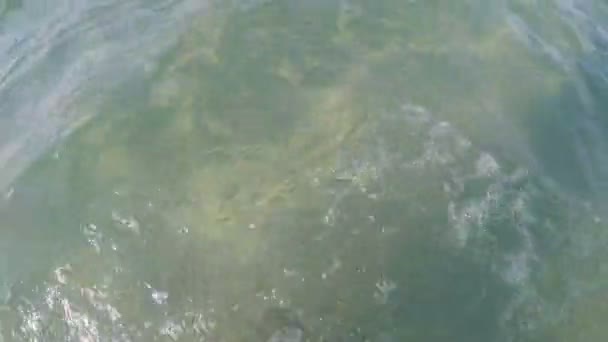 POV τουριστικά πιτσίλισμα στη θάλασσα χαλαρωτική αρσενικό πόδια — Αρχείο Βίντεο