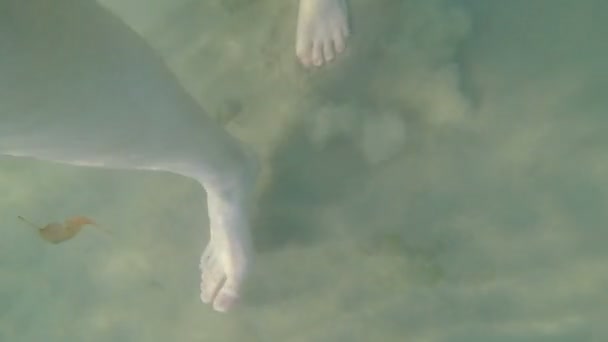 Вид зверху босоніж молодий чоловік насолоджується ходьбою і бризкає в морській воді — стокове відео