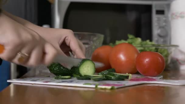 Las mujeres veganas cortan a mano el pepino preparando una ensalada fresca con verduras saludables — Vídeos de Stock