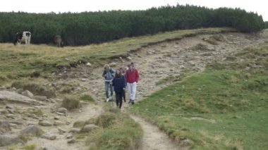Genç arkadaş dağ gezisi ve inek doğa manzarası zevk iz yolu hiking boyunca yürüyüş grubu