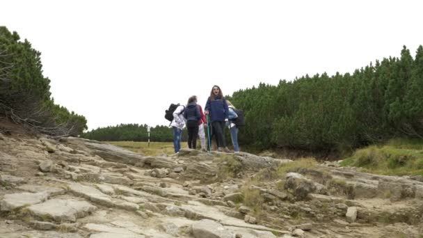 Grupp elever vänner vandring på berg och flickan gäspande och tar en paus att koppla av och umgås tills start äventyret — Stockvideo